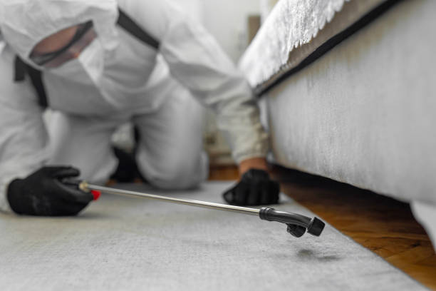 Professional Bed Bug Control technician working in Lake Holiday, IN