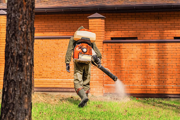 Trusted Cockroach Control service in Lake Holiday, IN - Nex Pest Control
